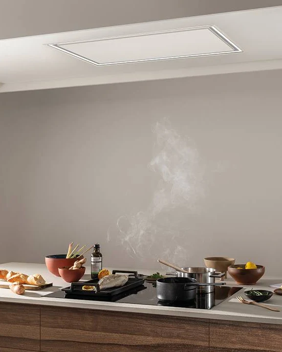 CAMPANA TECHO PURELINE PRO NOVY